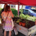 Heute noch bis etwa 17 Uhr - BIO - Regionalmarkt in Biesenthal 7 Bernau LIVE