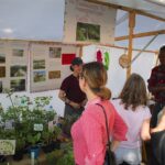 Heute noch bis etwa 17 Uhr - BIO - Regionalmarkt in Biesenthal 8 Bernau LIVE