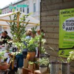 Heute noch bis etwa 17 Uhr - BIO - Regionalmarkt in Biesenthal 15 Bernau LIVE