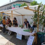 Heute noch bis etwa 17 Uhr - BIO - Regionalmarkt in Biesenthal 17 Bernau LIVE