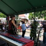 Heute noch bis etwa 17 Uhr - BIO - Regionalmarkt in Biesenthal 9 Bernau LIVE