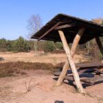 Ministerbesuch in der Schönower Heide: Bienen, Kultivierung und Naturschutz 10 Bernau LIVE