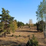 Ministerbesuch in der Schönower Heide: Bienen, Kultivierung und Naturschutz 12 Bernau LIVE