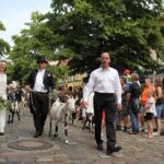 Das war das Hussitenfest 2019 in Bernau - hunderte Bilder und Videos 271 Bernau LIVE