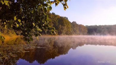 Endlich Freitag, guten Morgen aus Bernau bei Berlin 18 Bernau LIVE - Dein Stadtmagazin für Bernau bei Berlin
