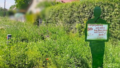 Guten Morgen und sonnige Grüße aus Bernau bei Berlin 8 Bernau LIVE - Dein Stadtmagazin für Bernau bei Berlin