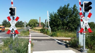Bernau LIVE - Dein Stadtmagazin