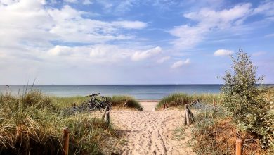 Wir wünschen Euch ein sonnig-schönes Wochenende 16 Bernau LIVE - Dein Stadtmagazin für Bernau bei Berlin