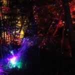 Drei großartige Tage beim diesjährigen Inselleuchten Marienwerder 68 Bernau LIVE