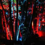 Drei großartige Tage beim diesjährigen Inselleuchten Marienwerder 106 Bernau LIVE