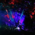 Drei großartige Tage beim diesjährigen Inselleuchten Marienwerder 110 Bernau LIVE