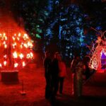 Drei großartige Tage beim diesjährigen Inselleuchten Marienwerder 43 Bernau LIVE