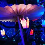 Drei großartige Tage beim diesjährigen Inselleuchten Marienwerder 5 Bernau LIVE