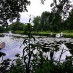 Drei großartige Tage beim diesjährigen Inselleuchten Marienwerder 48 Bernau LIVE