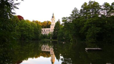 Bernau LIVE - Dein Stadtmagazin