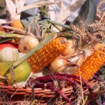 Danewitz feierte sein diesjähriges Erntefest und alle waren auf den Beinen 6 Bernau LIVE