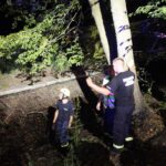 Berufsfeuerwehrtag der Jugendfeuerwehr Bernau bei Berlin 119 Bernau LIVE