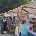 Trotz Hitze: Tausende Besucher zu Gast im Bernauer Stadtpark 53 Bernau LIVE