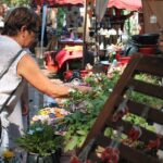 Trotz Hitze: Tausende Besucher zu Gast im Bernauer Stadtpark 13 Bernau LIVE