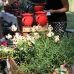 Trotz Hitze: Tausende Besucher zu Gast im Bernauer Stadtpark 7 Bernau LIVE