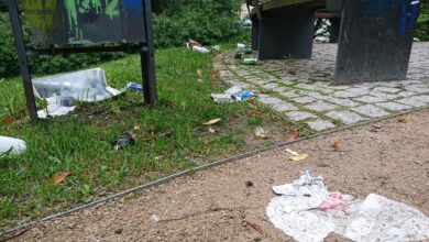 Bernau LIVE - Dein Stadtmagazin