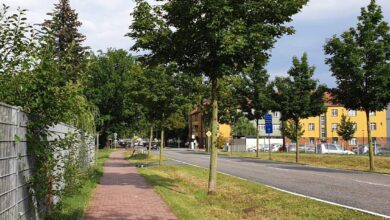 Bernau LIVE - Dein Stadtmagazin