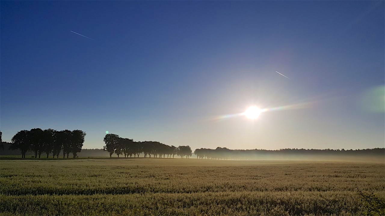Wir wünschen Euch einen schönen Freitag - guten Morgen aus Bernau 10 Bernau LIVE