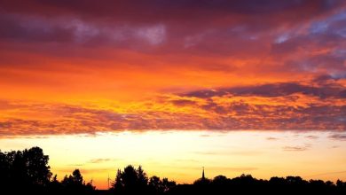 Guten Morgen aus Bernau und einen schönen Donnerstag 9 Bernau LIVE - Dein Stadtmagazin für Bernau bei Berlin