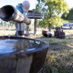 Klein aber Fein: Erntefest im Barnim Panorama Wandlitz 12 Bernau LIVE