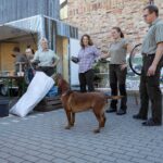 Klein aber Fein: Erntefest im Barnim Panorama Wandlitz 18 Bernau LIVE