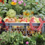 Grüntal feierte sein Erntefest mit einem wunderschönen Umzug 29 Bernau LIVE