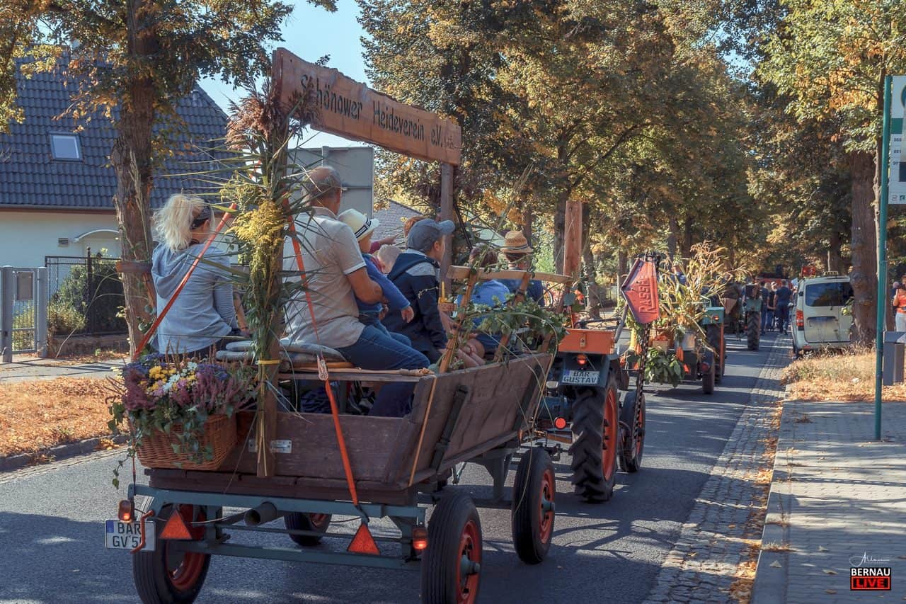 Heidefest Schönow 2019 - Festumzug und Party bis in die Nacht 8 Bernau LIVE