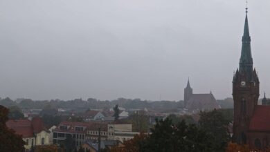 Bernau LIVE - Dein Stadtmagazin