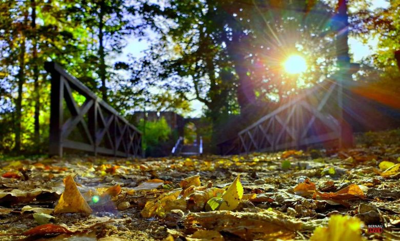Bernau LIVE - Dein Stadtmagazin für Bernau bei Berlin
