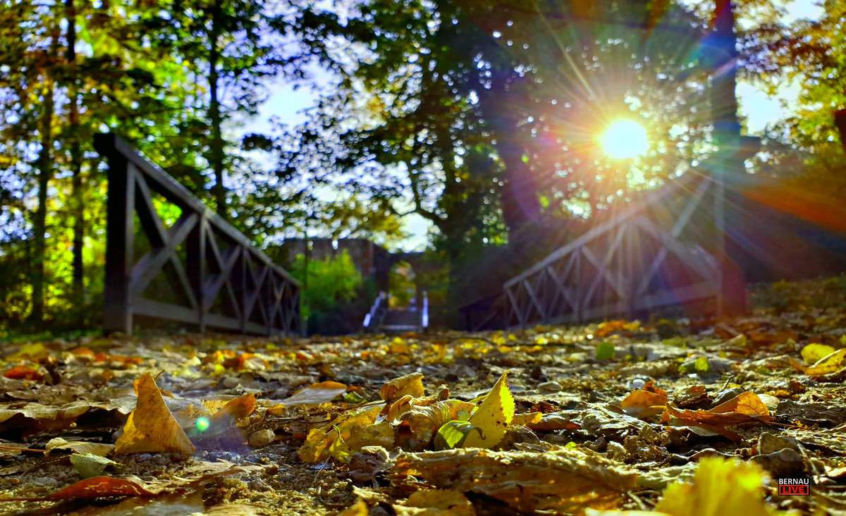 Herbst Stadtpark Bernau Bernau LIVE0000