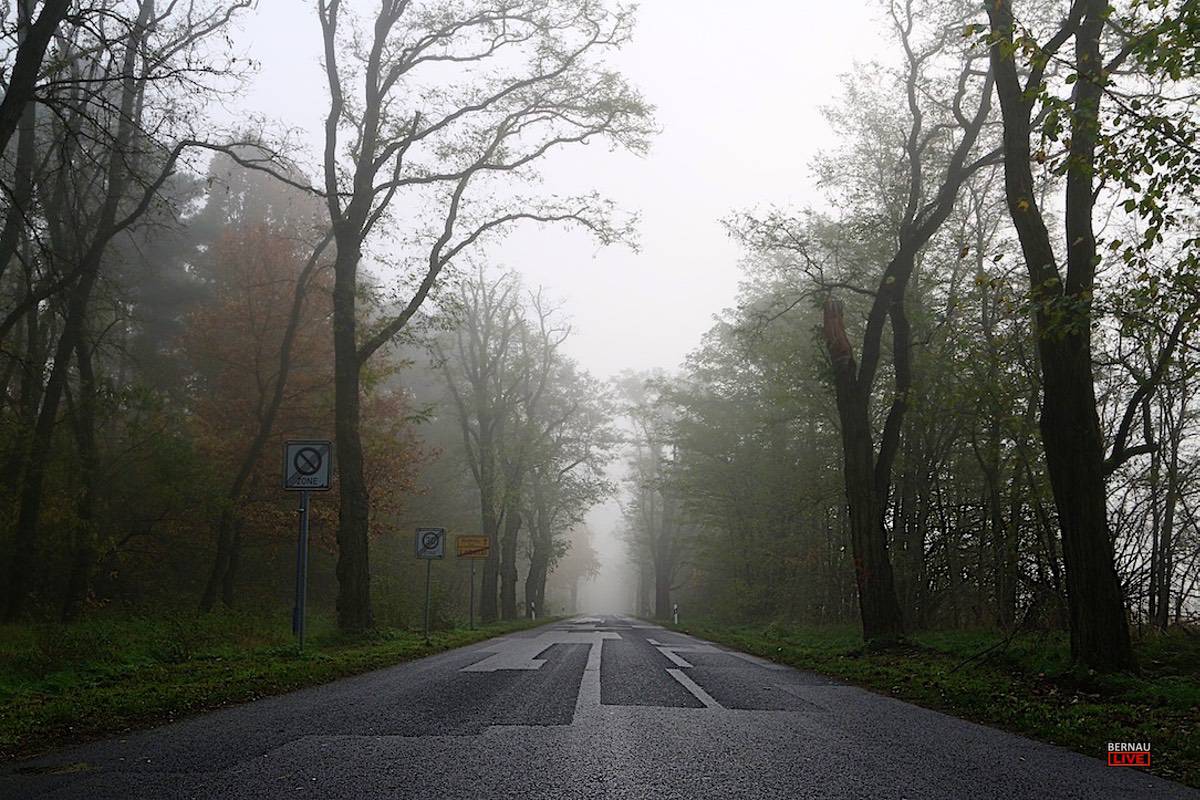 Lobetal Herbst Nebel Bernau LIVE0000