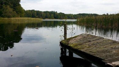 Bernau LIVE - Dein Stadtmagazin für Bernau bei Berlin