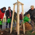 Heute wurden in Bernau die Ersten von 1.000 neuen Bäumen gepflanzt 3 Bernau LIVE