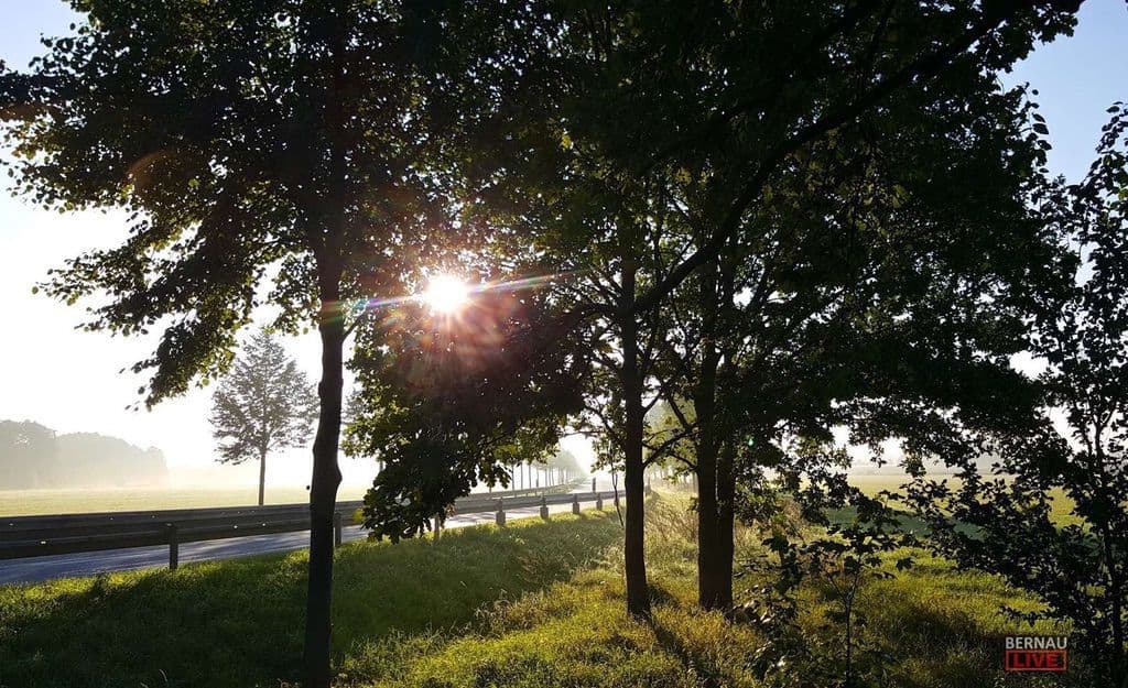 Guten Morgen aus Bernau und allen einen angenehmen Dienstag 5 Bernau LIVE