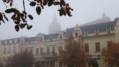 Wir wünschen eine schönen Donnerstag, Moin aus Bernau 12 Bernau LIVE - Dein Stadtmagazin für Bernau bei Berlin