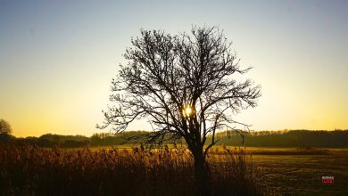 Endlich Freitag, guten Morgen aus Bernau bei Berlin 12 Bernau LIVE - Dein Stadtmagazin für Bernau bei Berlin