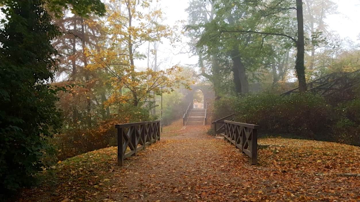 IMG 9251 Herbst Stadtpark Bernau