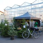 Großer Andrang zum Adventsbasteln bei den Hoffnungstaler Werkstätten 4 Bernau LIVE