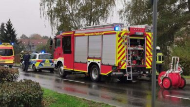 Bernau LIVE - Dein Stadtmagazin