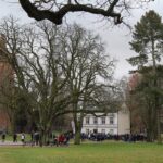 Bernau startete mit dem Silvesterlauf in den letzten Tag des Jahres 15 Bernau LIVE