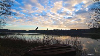 Bernau LIVE - Dein Stadtmagazin für Bernau bei Berlin