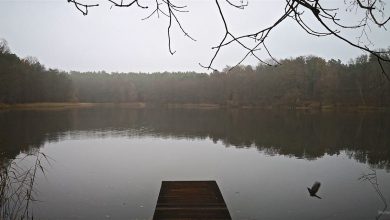 Bernau LIVE - Dein Stadtmagazin für Bernau bei Berlin