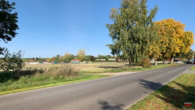 Bernau LIVE - Dein Stadtmagazin