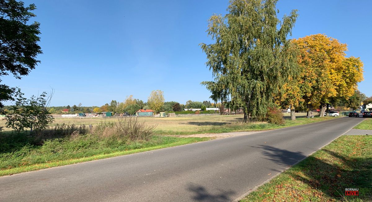 Ein Lebensmittelmarkt in Ladeburg: Geht´s jetzt endlich los? 7 Bernau LIVE