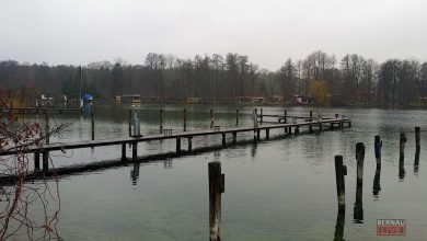 Bernau LIVE - Dein Stadtmagazin für Bernau bei Berlin